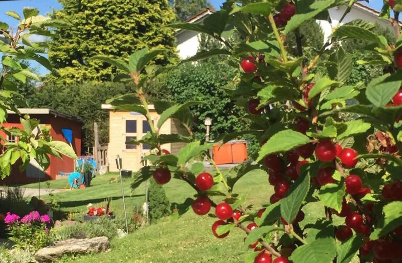Holiday home Ferienhaus Linn Hohenau